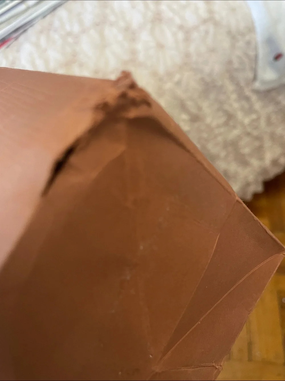 Louis Vuitton Brown Tote Paper bag with Blue Rope Handle